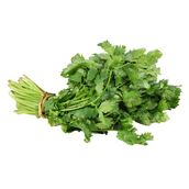 cilantro